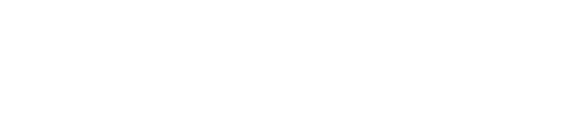 Kizashi 顧客分析